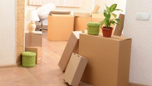 Local Moving Service In Gurgaon