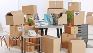 Packers and Movers Sector 22 Gurgaon