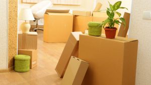 Packers and Movers Sector 56 Gurgaon