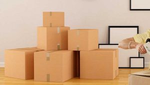 Packers and Movers Sector 20 Gurgaon
