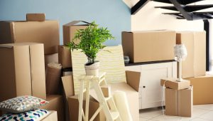 Packers and Movers Sector 37 Gurgaon