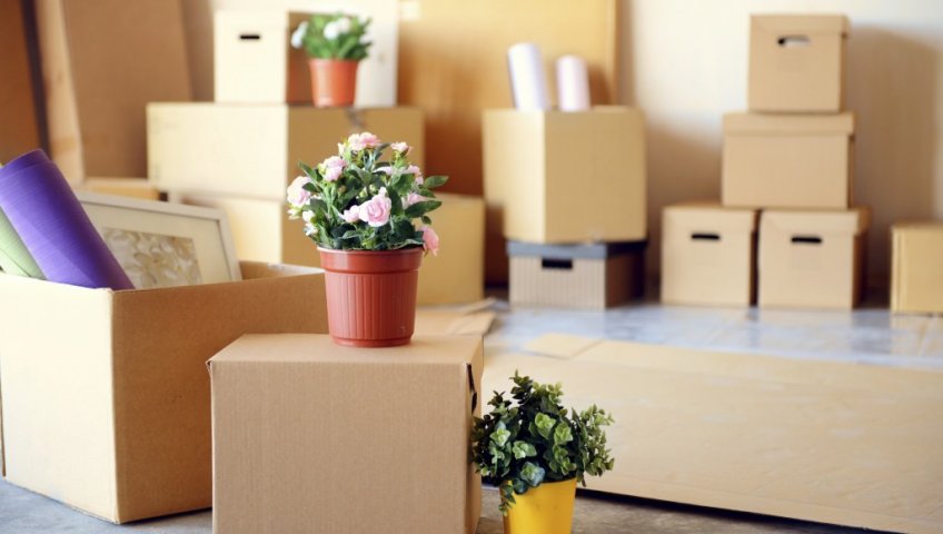 HouseholdPacking Service In Gurgaon