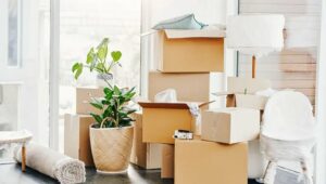 Packers and Movers Ghaziabad