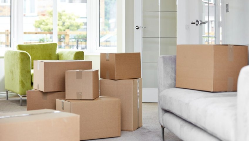 Professional Packers and Movers